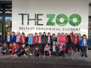 P3 Visit Belfast Zoo