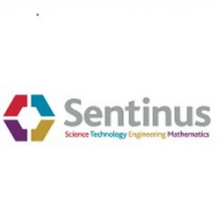 Sentinus Challenge